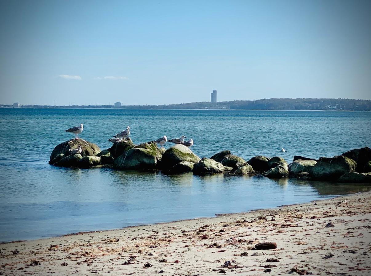 Fewo Sonnendeck Familien-Strandnah-Garten-Hunde-Sport-Und Schwimmbadnah-Hansapark 希尔克道夫 外观 照片